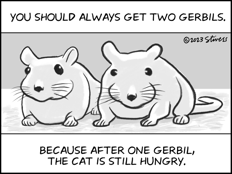 You should always get two gerbils